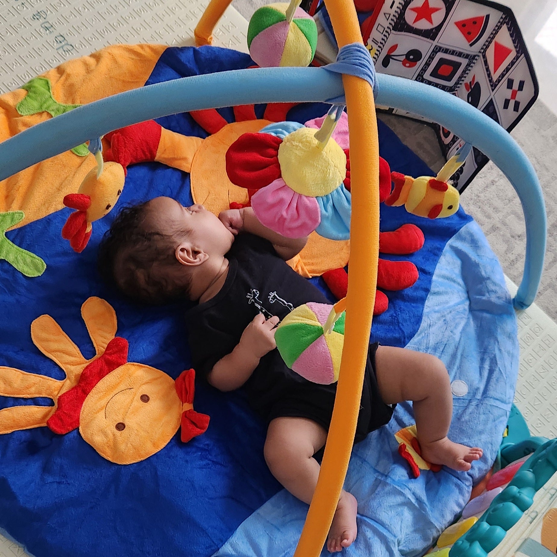 Gimnasio de Actividades y Alfombra de Juego con Temática Marina