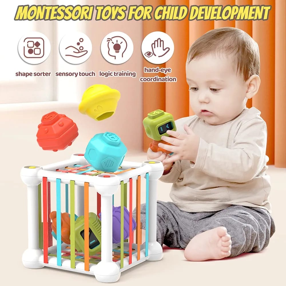 Juguete Sensorial Montessori Clasificador de Formas